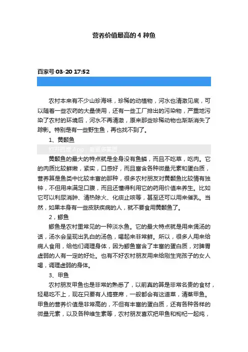 营养价值最高的4种鱼