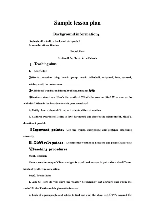 Sample lesson plan 4