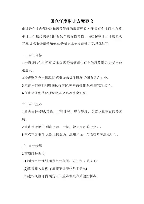 国企年度审计方案范文