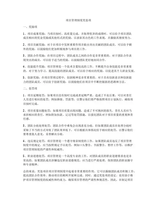 项目管理制度奖惩项