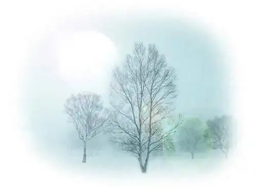 我在北京大学的经历ppt1