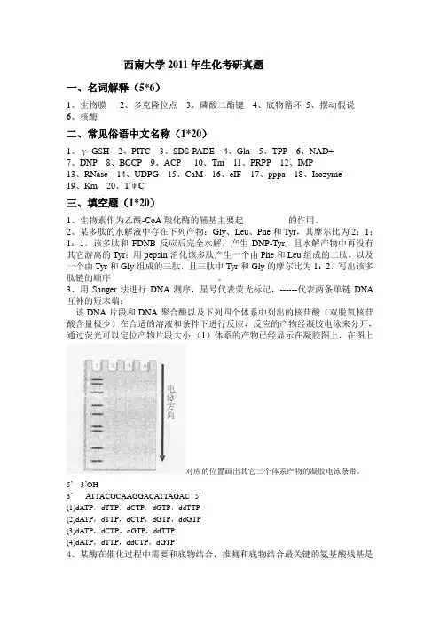 西南大学2011年生化考研真题