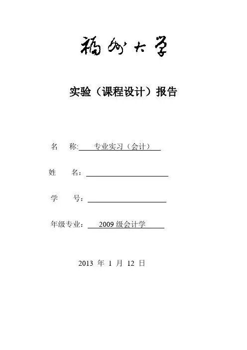 手工账实验报告