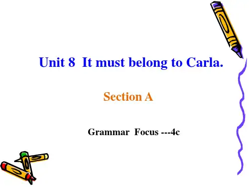 人教英语九年级全册Unit8 Section A Grammar Focus (共21张PPT)