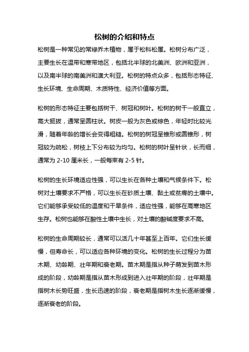 松树的介绍和特点