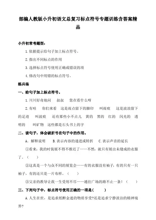 统编-部编人教版小升初语文总复习标点符号专题训练含答案精