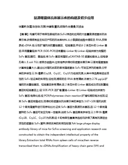 鼠源噬菌体抗体展示库的构建及初步应用