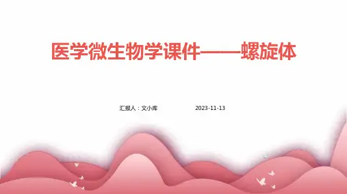 医学微生物学课件螺旋体