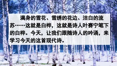部编版四年级语文下册第11课《白桦》PPT课件3套