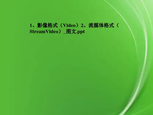 1、影像格式2、流媒体格式-图文