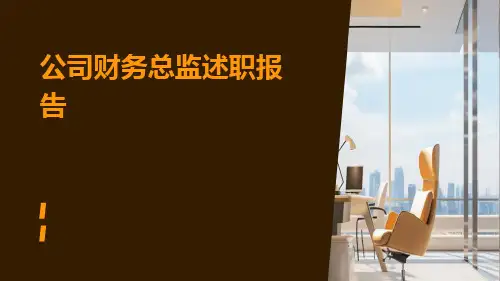 公司财务总监述职报告PPT