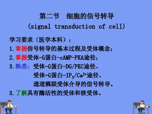 细胞的信号转导完美版PPT