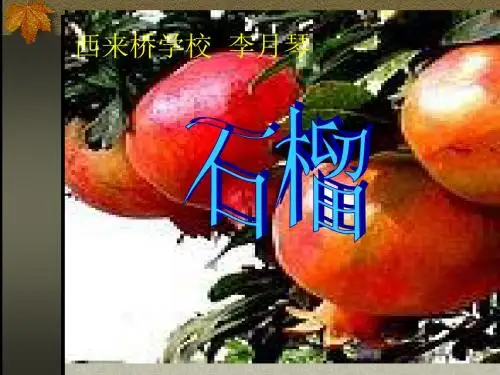 石榴1