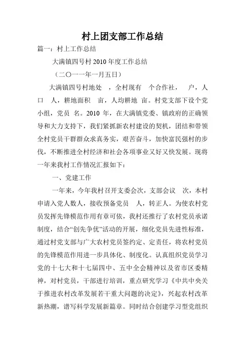 村上团支部工作总结.doc