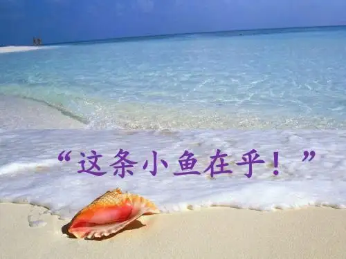 《”这条小鱼在乎!“》课件