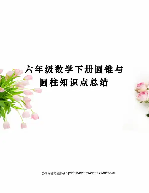 六年级数学下册圆锥与圆柱知识点总结(终审稿)