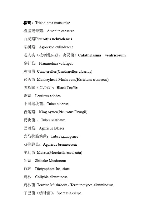 常见食用菌拉丁文