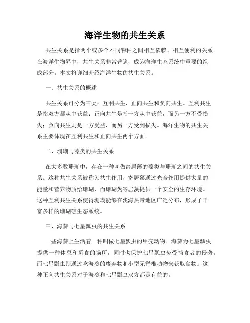 海洋生物的共生关系