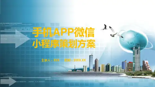 手机APP微信小程序策划方案内容完整课件