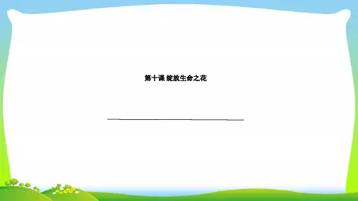 部编版七年级上册道德与法治10.1  感受生命的意义 课件