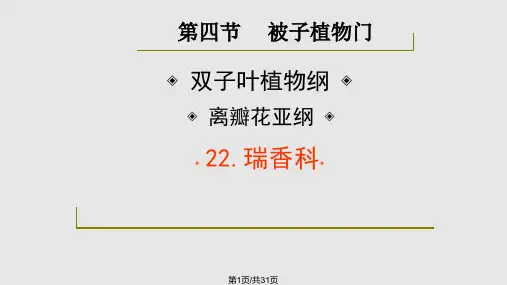 药用植物学与生药学瑞香科桃金娘科PPT课件