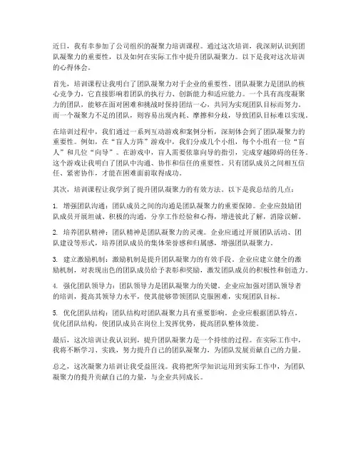 凝聚力培训心得体会范文