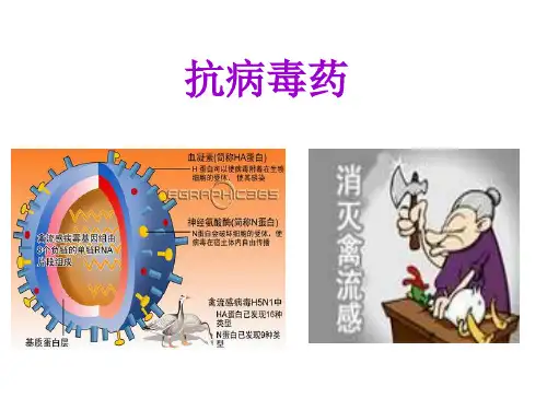 抗真菌药及抗病毒药