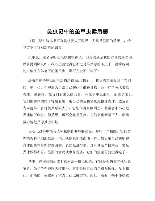 昆虫记中的圣甲虫读后感