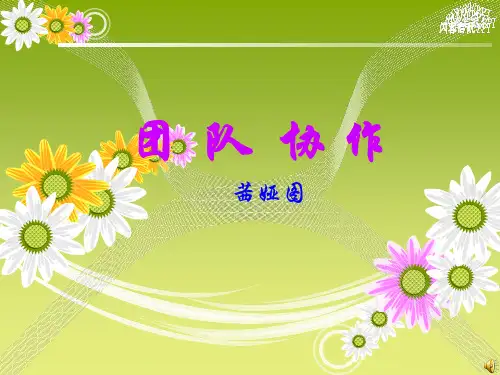 团队协作(完整新版)PPT课件