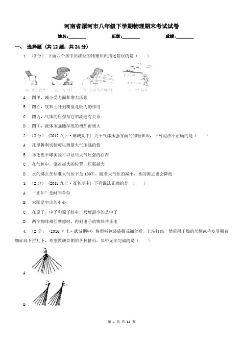 河南省漯河市八年级下学期物理期末考试试卷