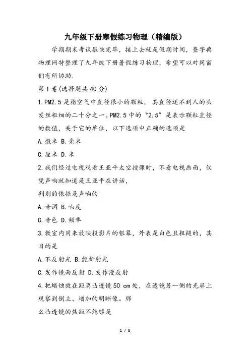 九年级下册寒假练习物理(精编版)