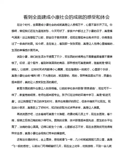 看到全面建成小康社会的成就的感受和体会