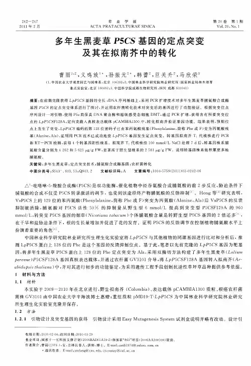 多年生黑麦草P5CS基因的定点突变及其在拟南芥中的转化