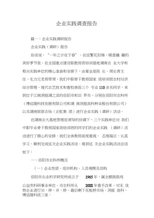 企业实践调查报告