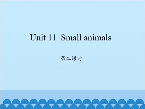 三年级上册英语课件-Module 4 Unit 11  Small animals  Period