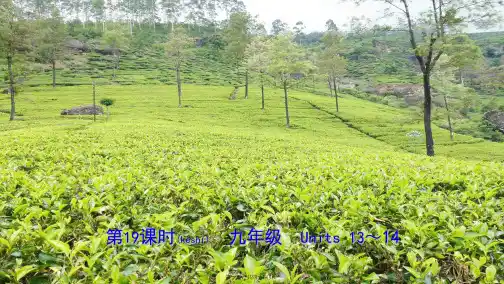 中考英语一轮复习 第19课时 九全 units 1314课件