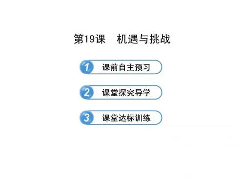 2015北师大版九年级历史复习课件4.19《机遇与挑战》(北师大版)