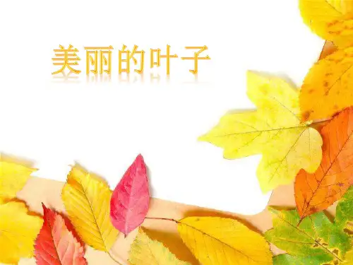 二年级上册美术课件-3.7 美丽的叶子丨岭南版 (共17张PPT)
