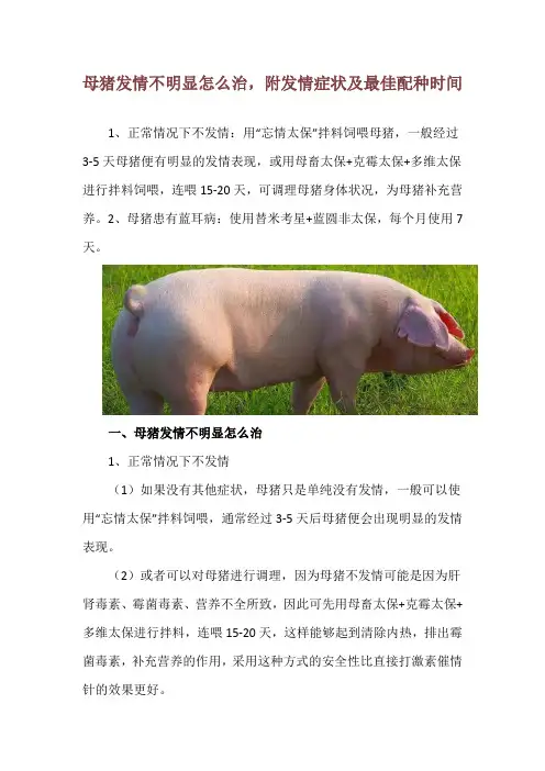 母猪发情不明显怎么治,附发情症状及最佳配种时间