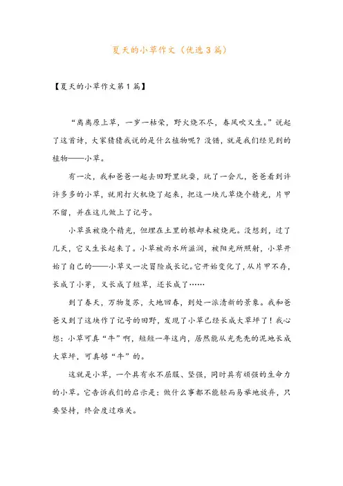夏天的小草作文(优选3篇)