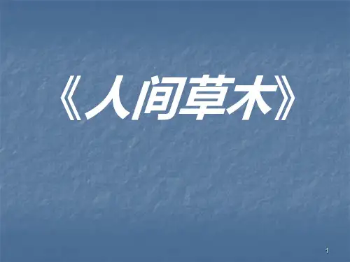 人间草木ppt课件