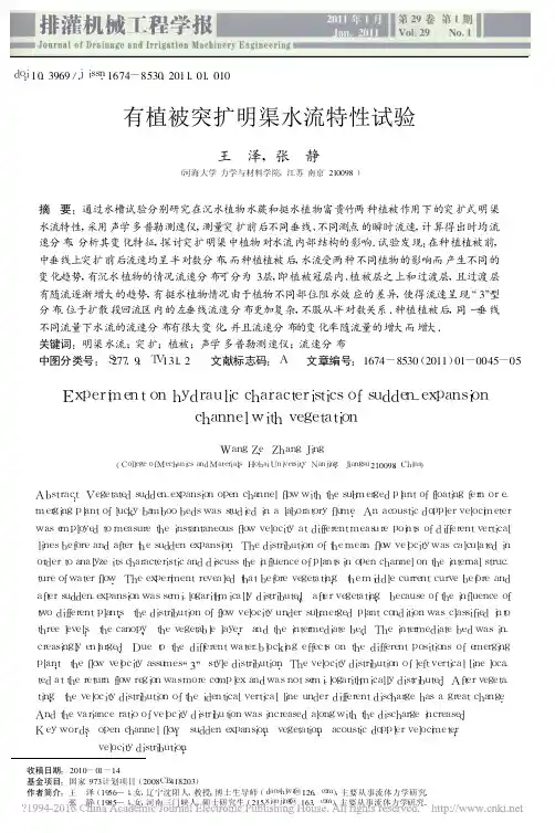 有植被突扩明渠水流特性试验_王泽