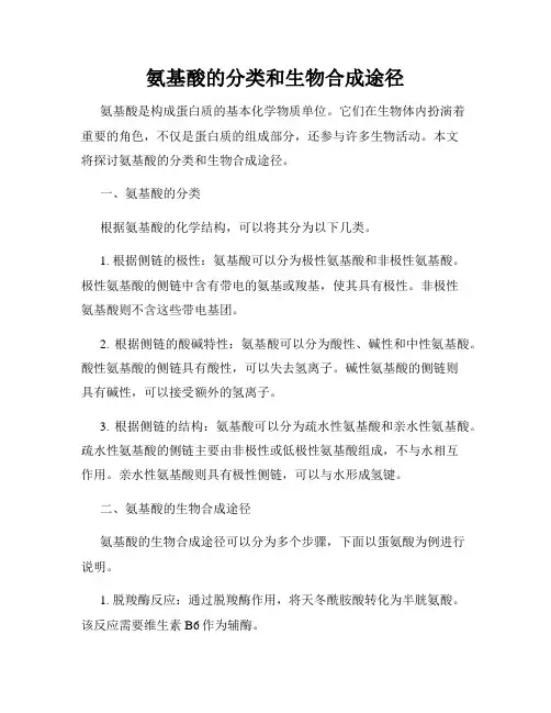 氨基酸的分类和生物合成途径