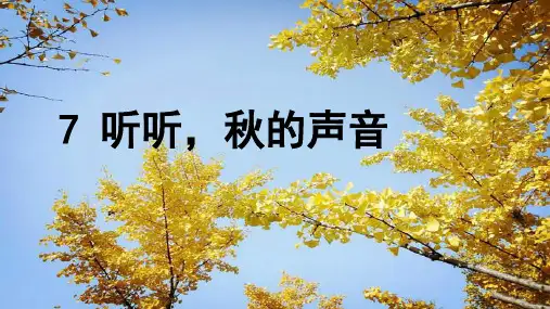 三年级上册语文课件-2.7听听,秋的声音  人教(部编版)(共16张PPT)