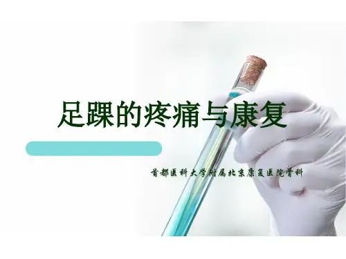 足踝的疼痛与康复PPT课件