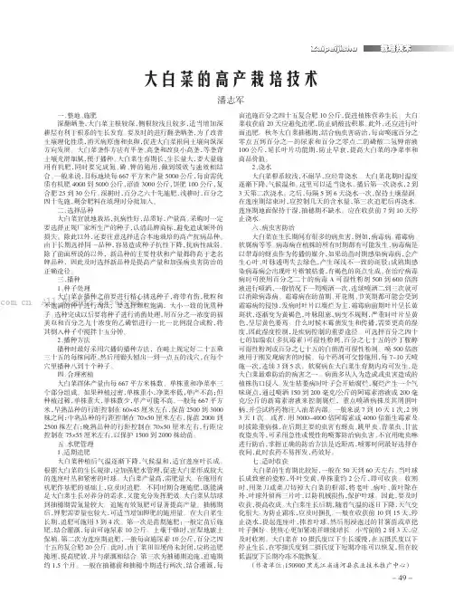 大白菜的高产栽培技术