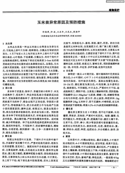 玉米苗异常原因及预防措施
