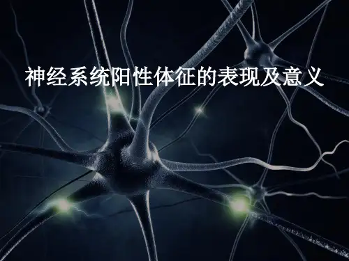 神经系统查体 ppt课件