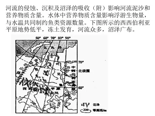 俄罗斯高考题