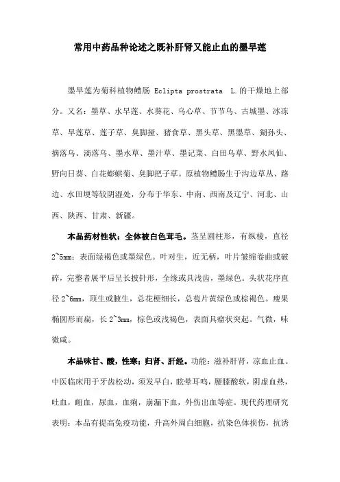常用中药品种论述之既补肝肾又能止血的墨旱莲